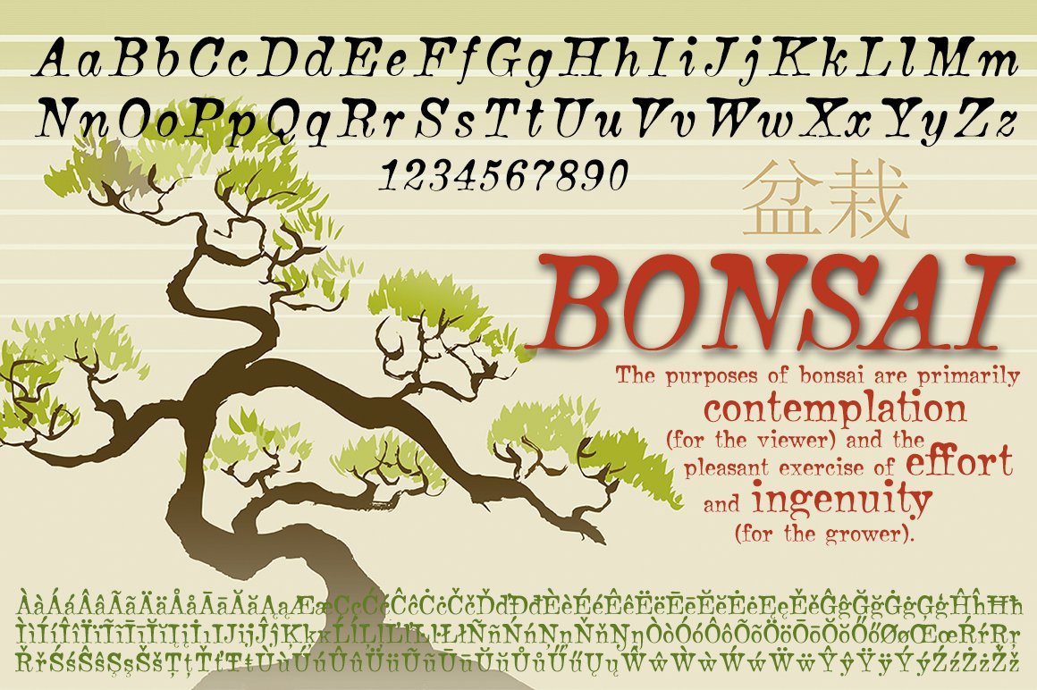 bonsaiitalic 04 155