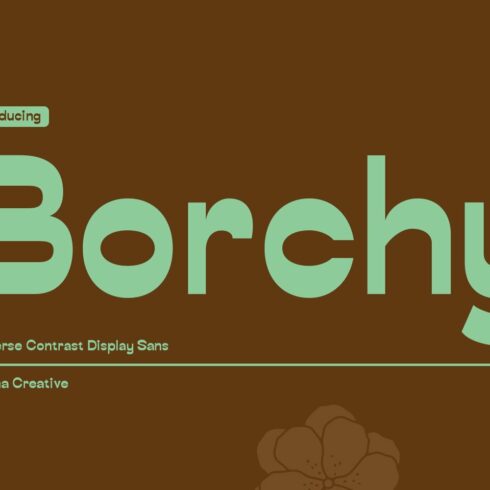 Borchy Reverse Contrast Display Sans cover image.