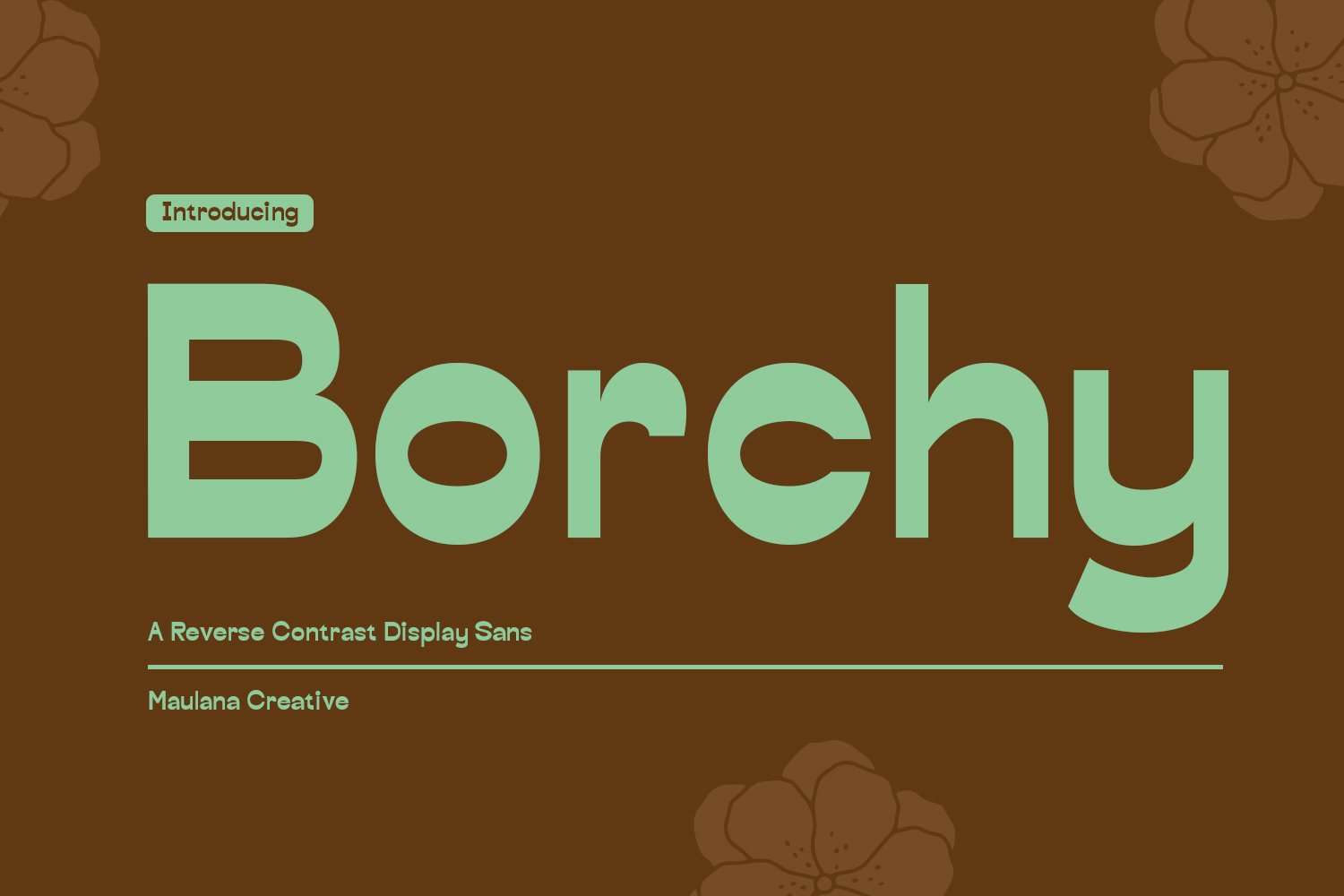 Borchy Reverse Contrast Display Sans cover image.