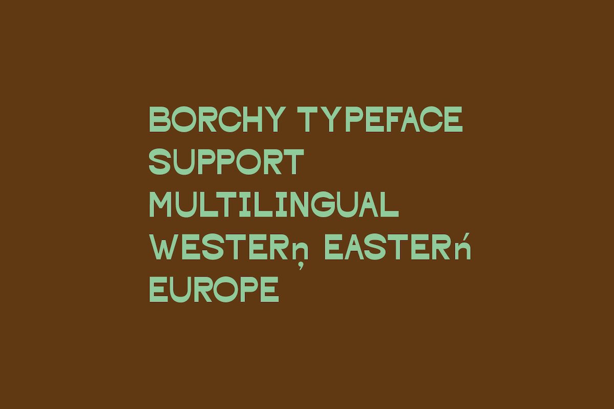 borchy reverse contrast display sans font 8 105