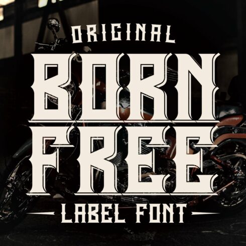 Born Free Typeface cover image.