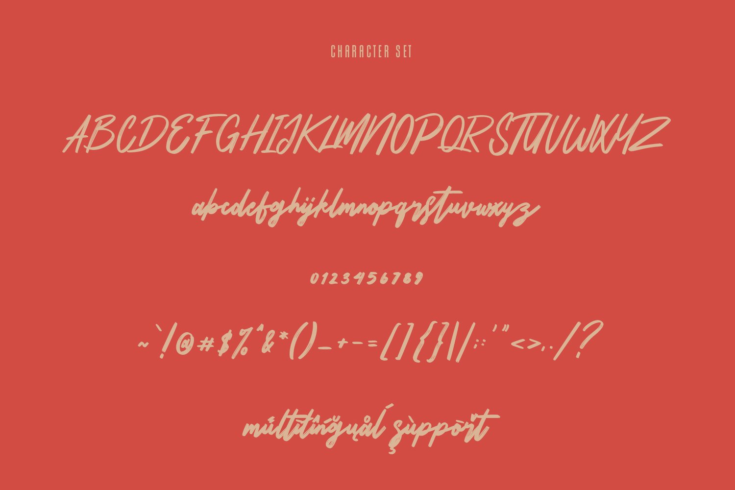 bortons font duo swash typeface 12 883