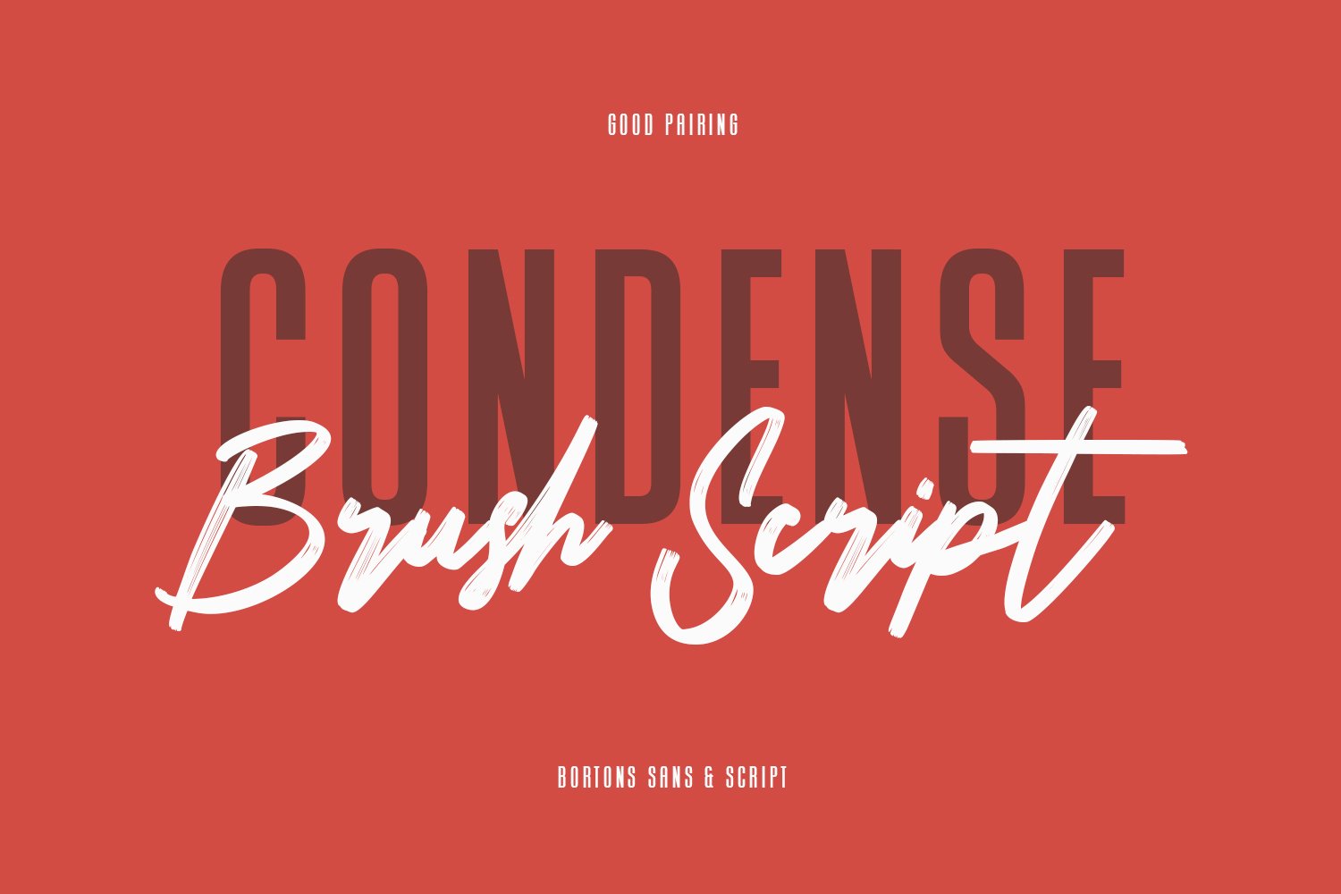 bortons font duo swash typeface 3 490