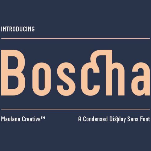 Boscha Condensed Display Sans fontcover image.