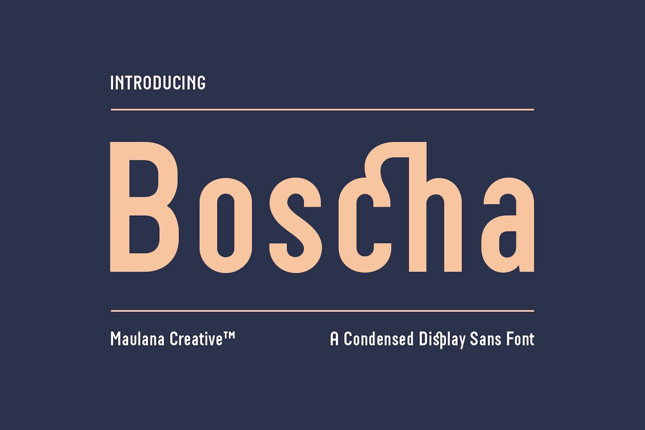 Boscha Condensed Display Sans fontcover image.