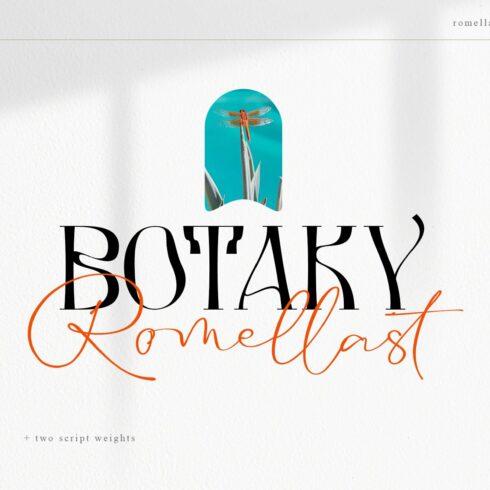 BOTAKY Romellast cover image.