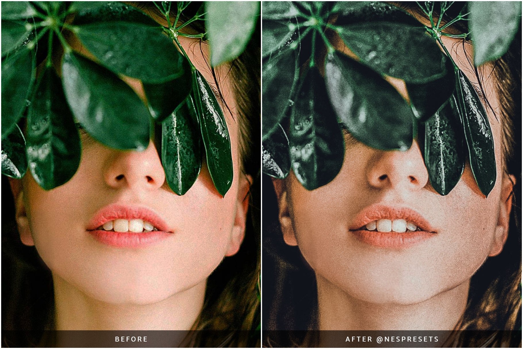 botanic preset preview 03 676