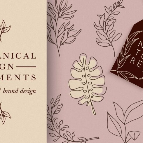 Botanical Elements for Logo Design cover image.