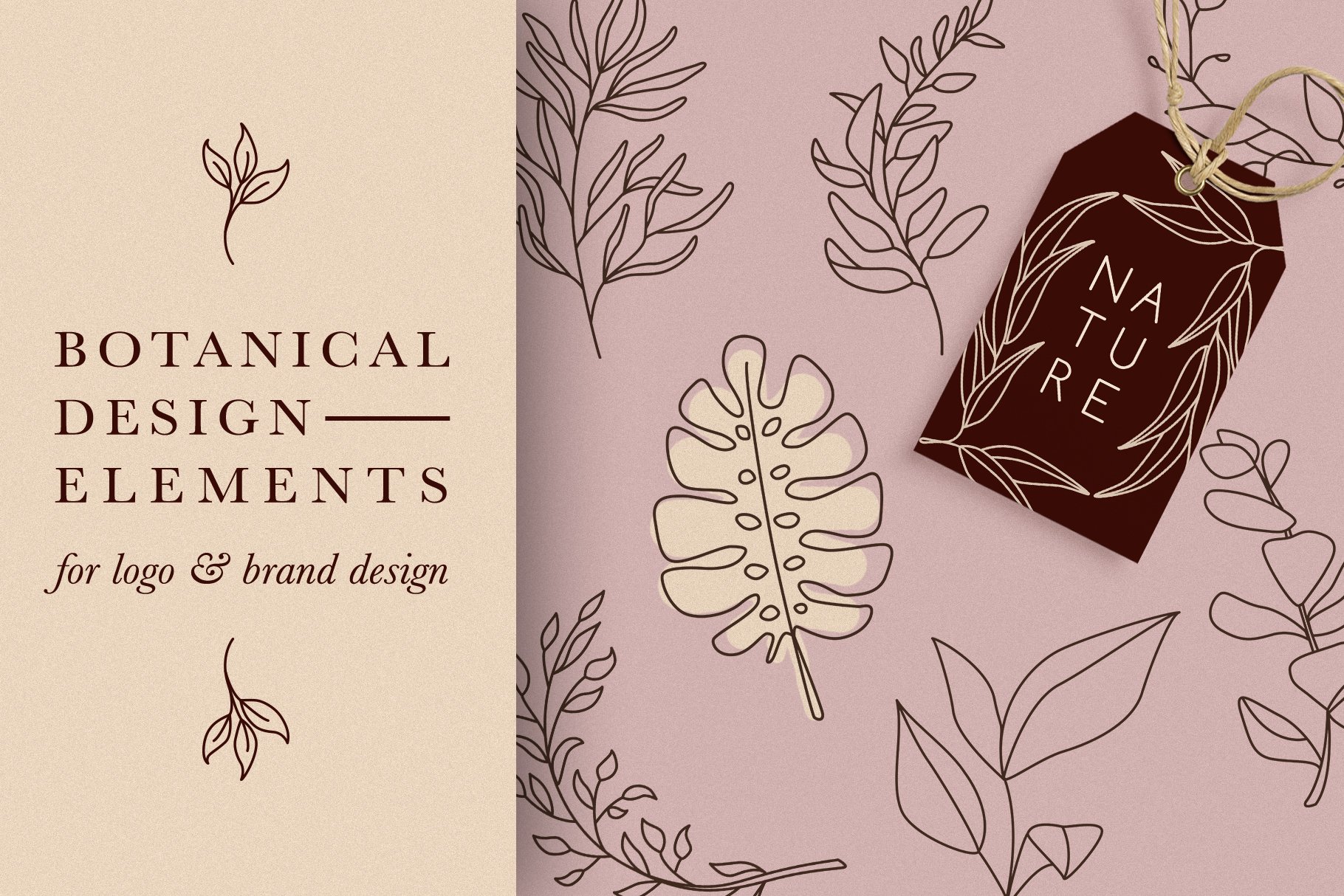 Botanical Elements for Logo Design cover image.