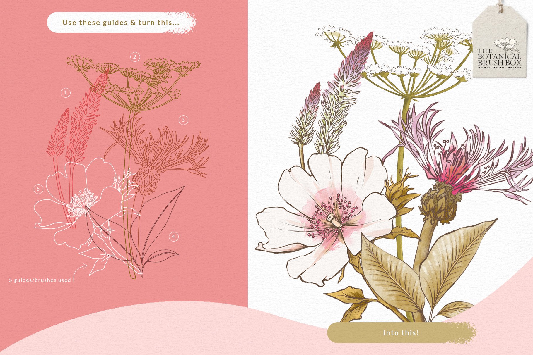 The Botanical Brush Box -Procreatepreview image.