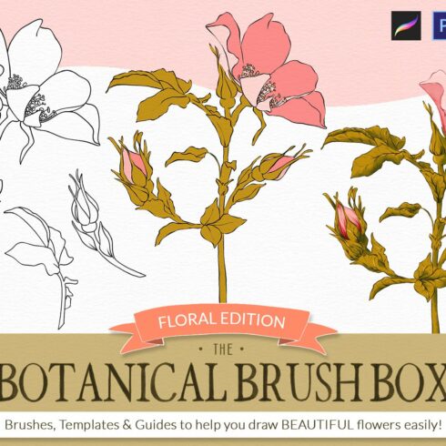 The Botanical Brush Box -Procreatecover image.