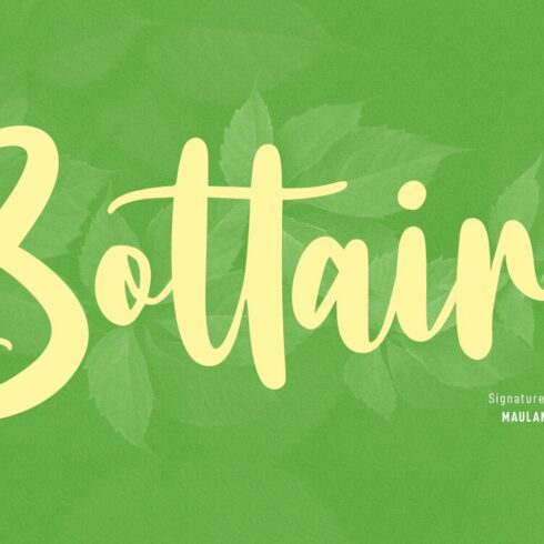 Bottairs Script Font cover image.