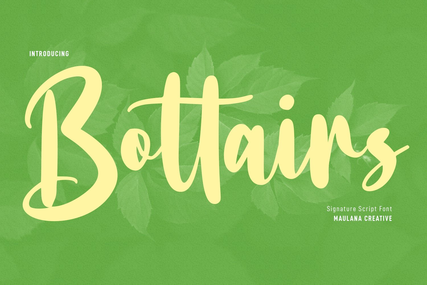 Bottairs Script Font cover image.