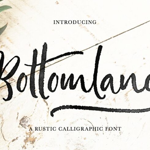 Bottomland • Ink Script cover image.