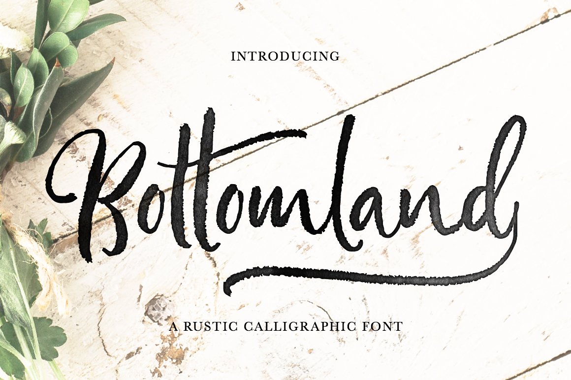 Bottomland • Ink Script cover image.