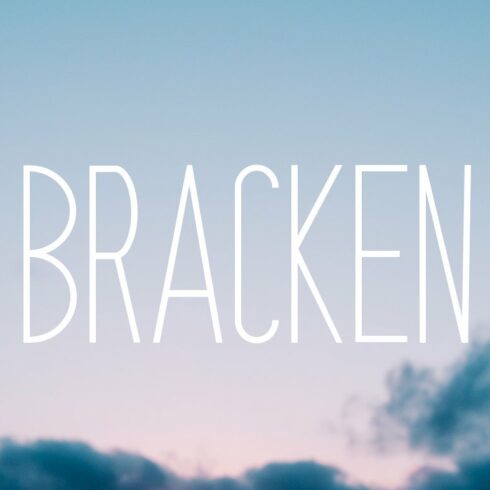 Bracken | A Hipster Font Family cover image.