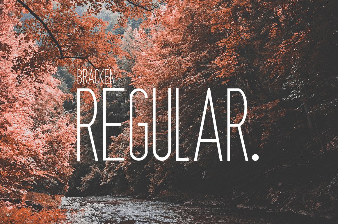 Bracken | A Hipster Font Family preview image.