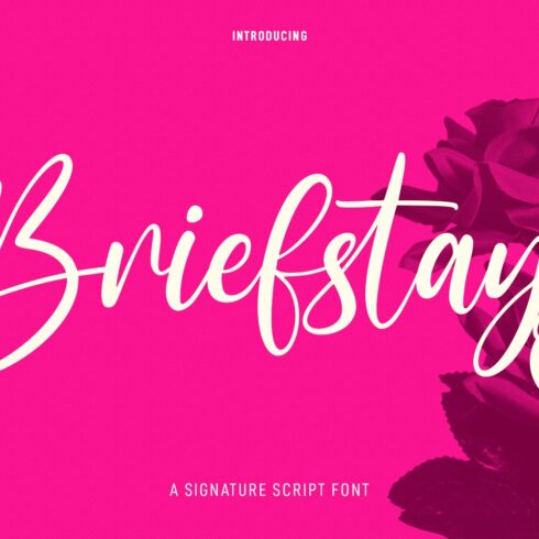 Briefstays Script Font cover image.