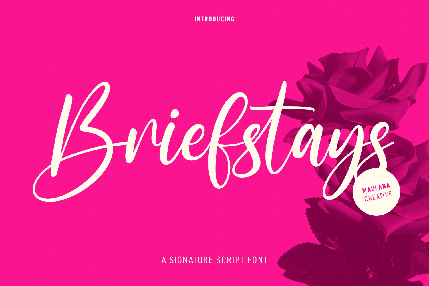 Briefstays Script Font cover image.