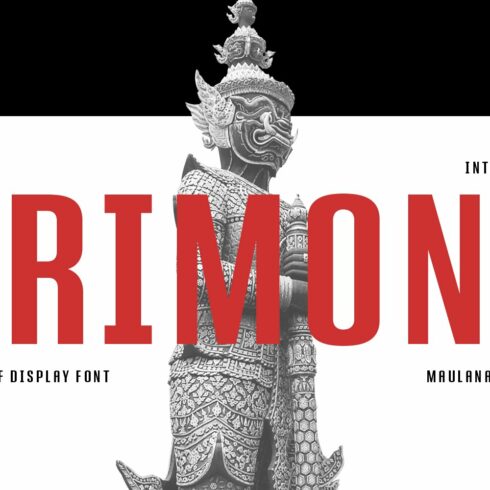 Brimons Sans Serif Display Font cover image.