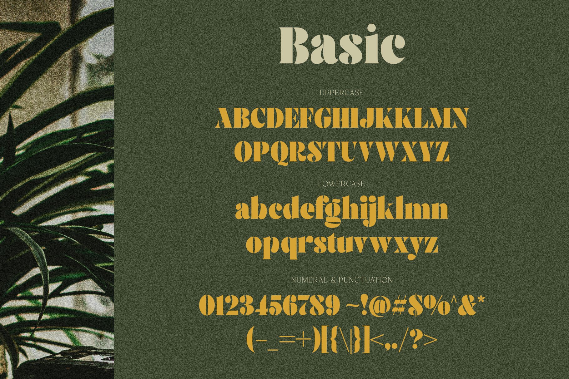 A green and yellow typeface with a plant in the background.