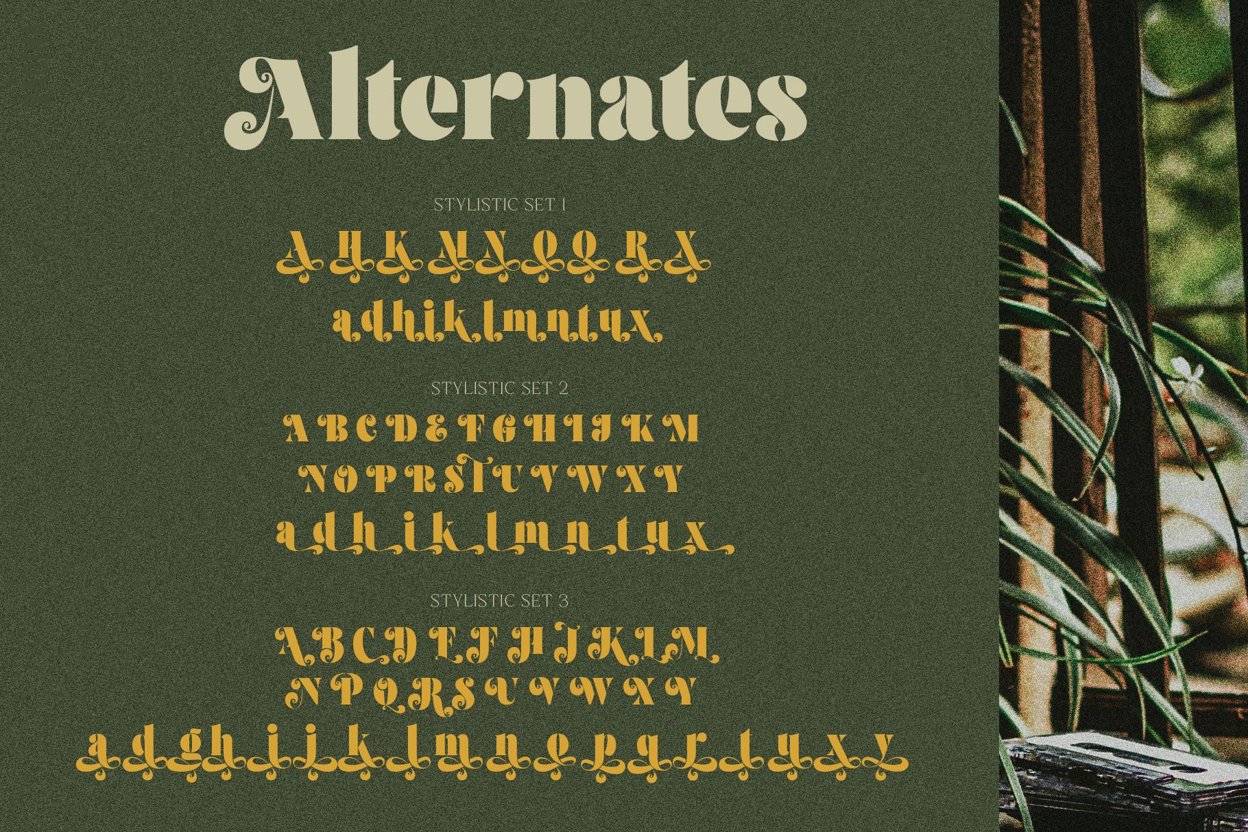 A green and yellow typeface with the words altermates.