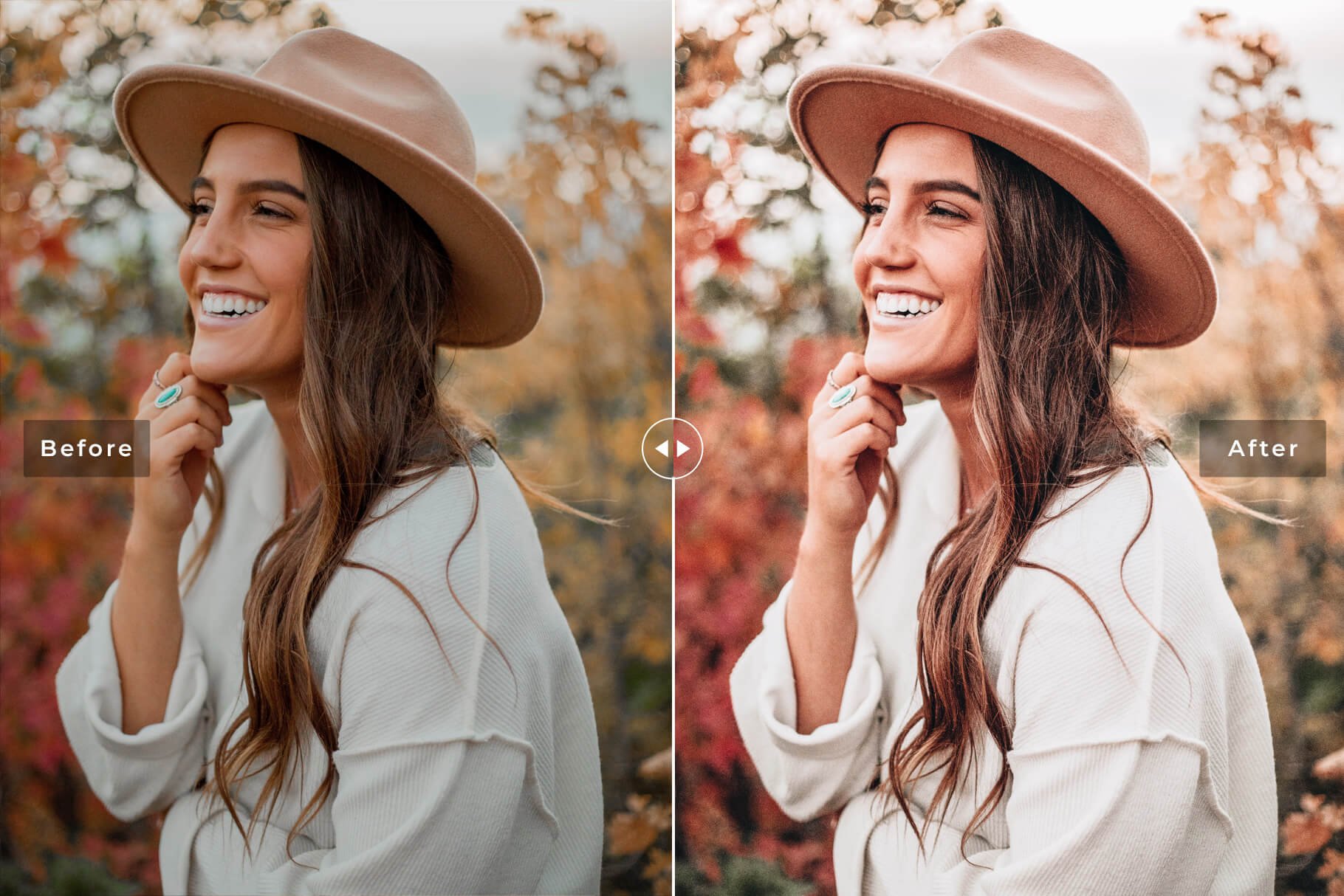 brown zircon mobile desktop lightroom presets preview 3 149