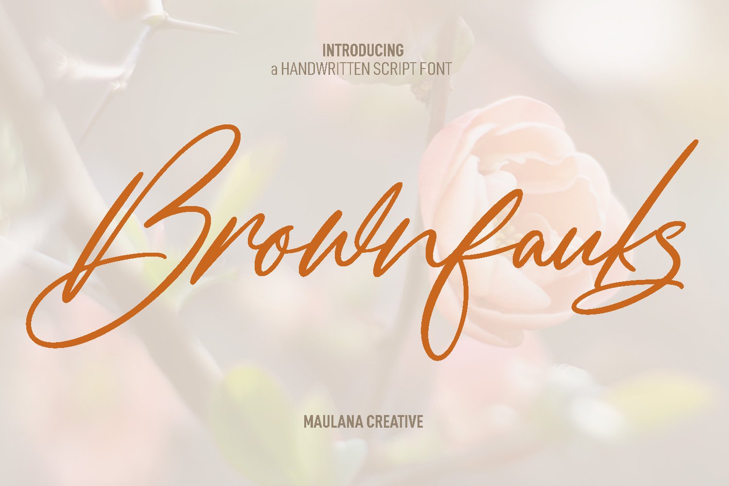 Brownfauks Script Font cover image.