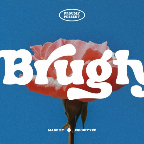 Brugty - Thick Display Fonts cover image.