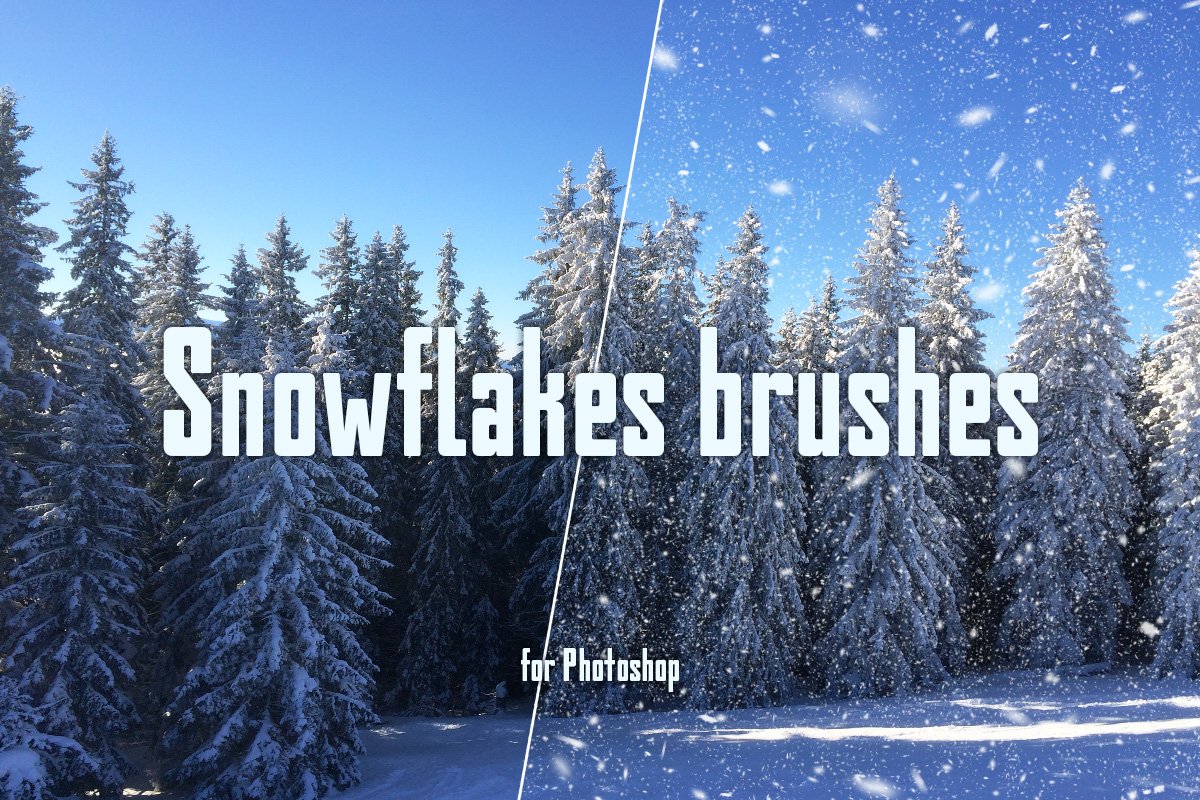 Real snowflakes brushcover image.