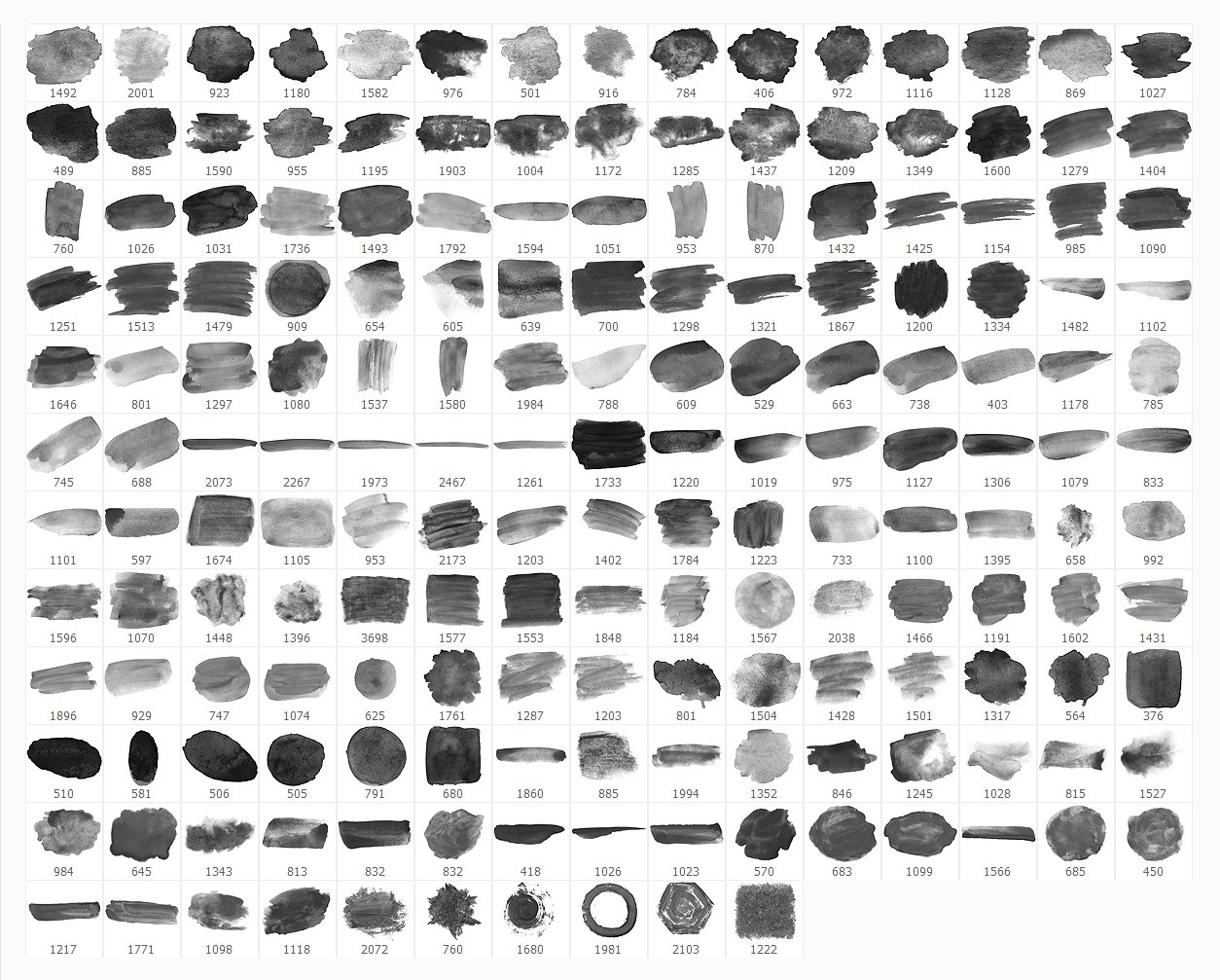 brushes 893