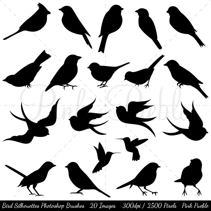 Bird Silhouettes Photoshop Brushespreview image.