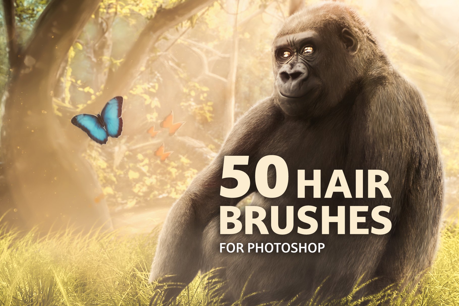 50 hair brushes for Photoshopcover image.