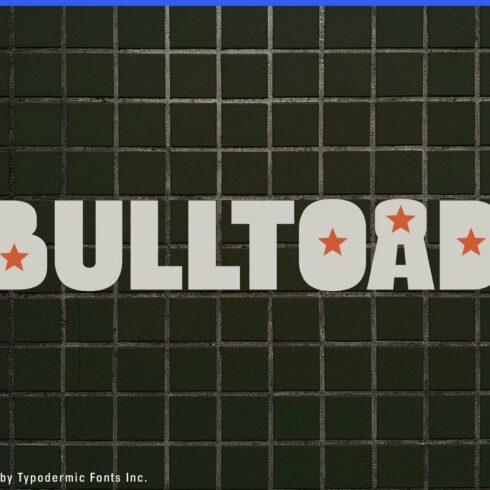 Bulltoad cover image.