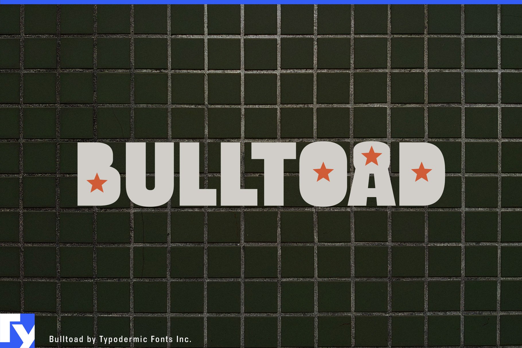 Bulltoad cover image.