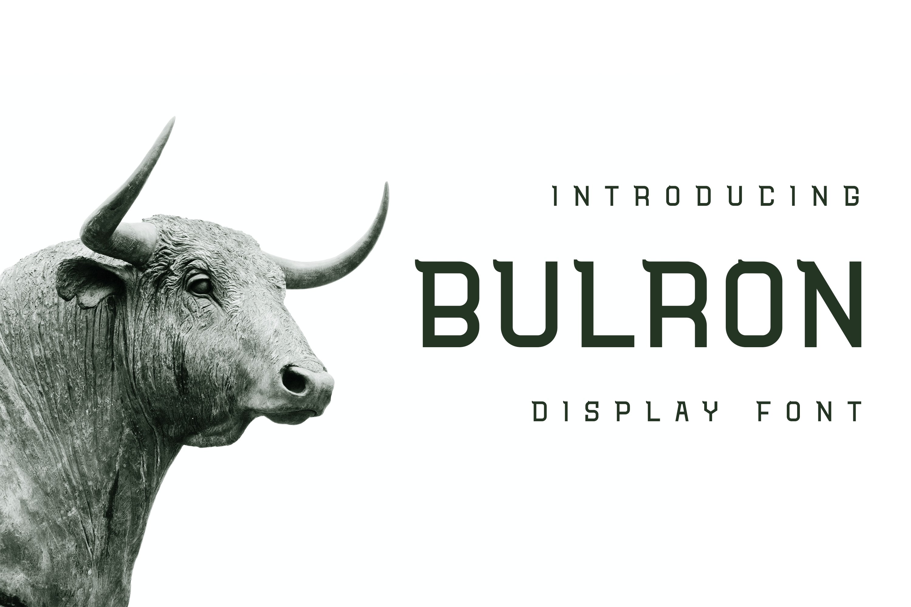 Bulroncover image.