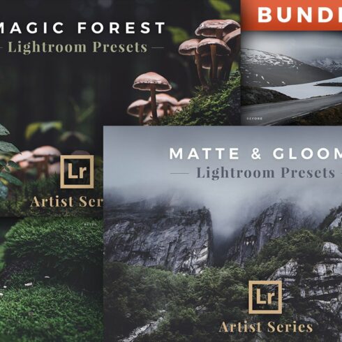 Artist Series – Lightroom Bundle 03cover image.