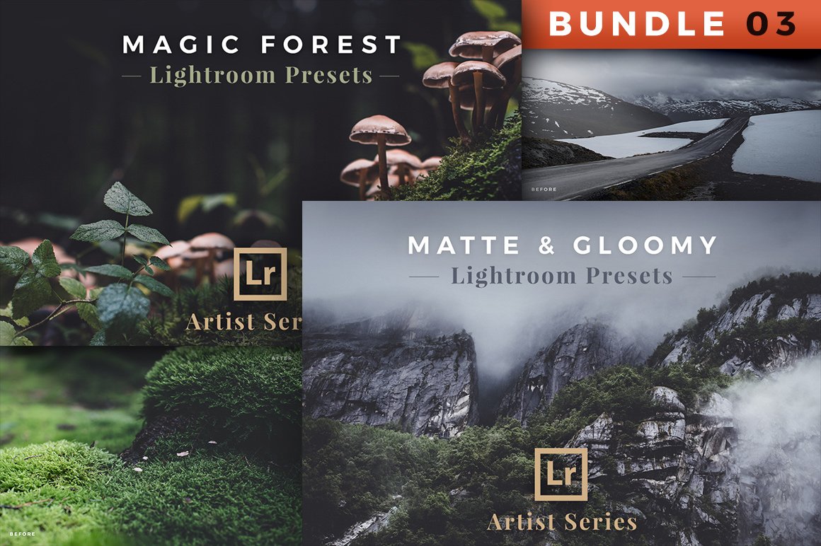 Artist Series – Lightroom Bundle 03cover image.