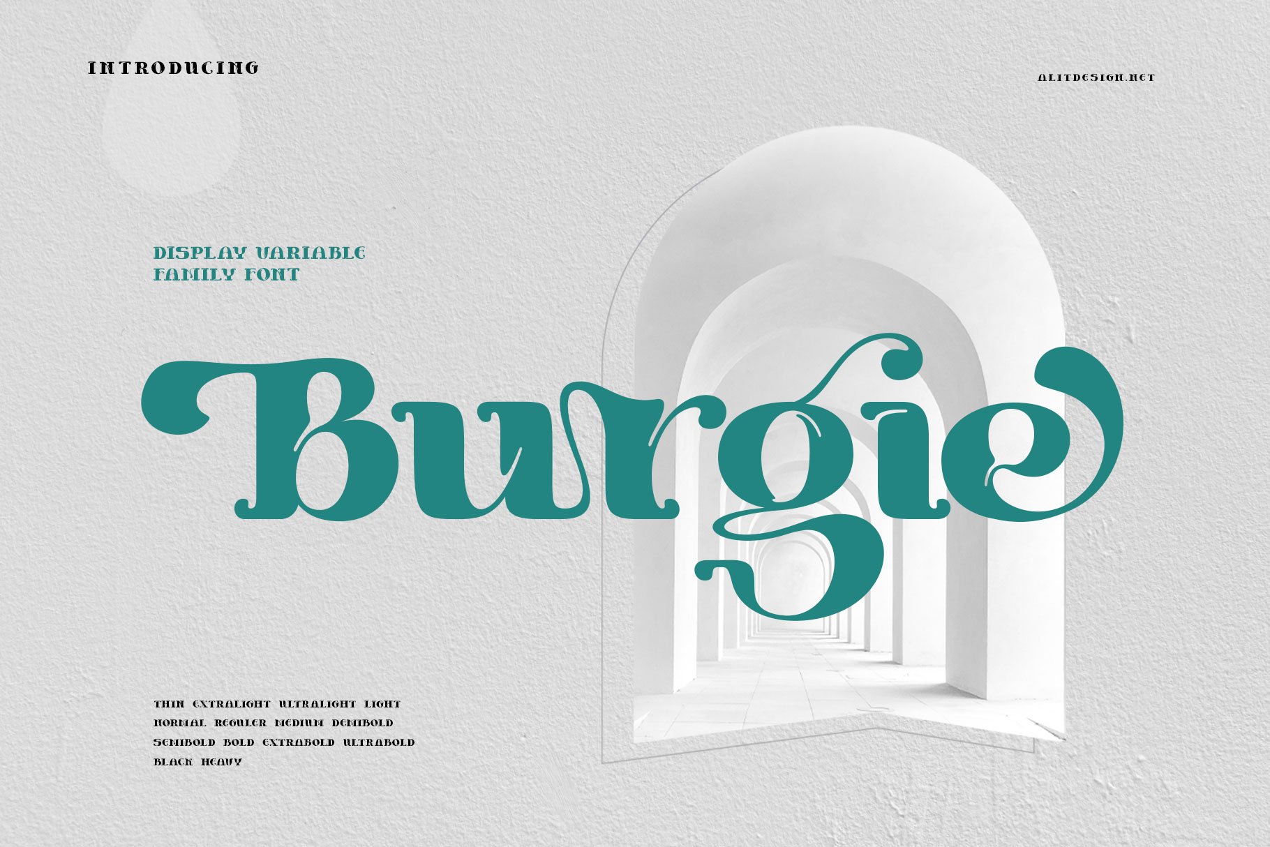 Burgie preview image.