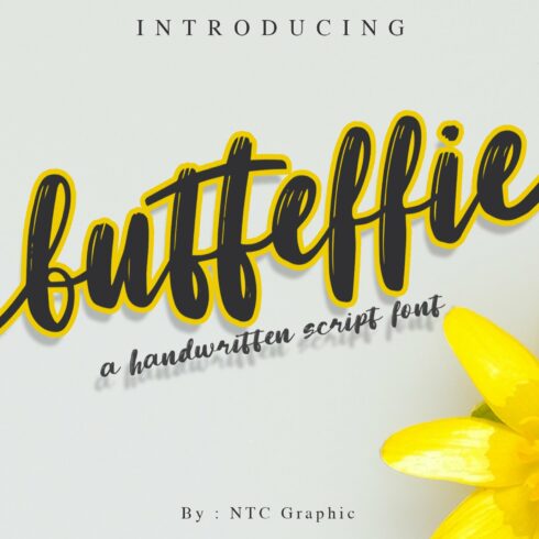 Butteffie - Script Font cover image.