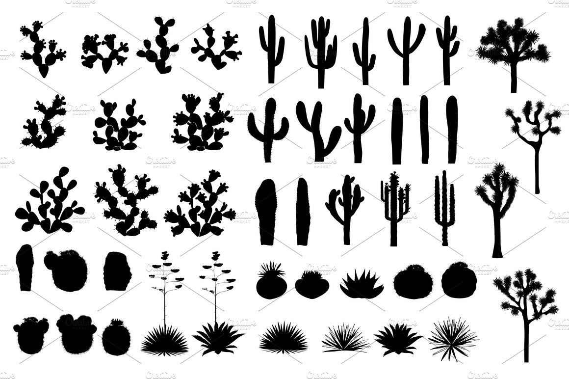 Cacti World. Big Vector Collection preview image.