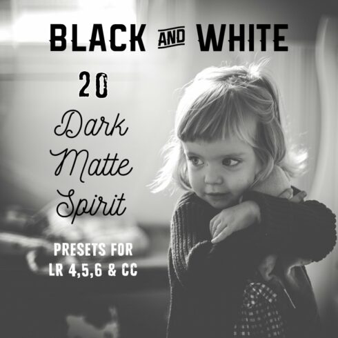 Pack 20 LR Presets B&W Dark Spiritcover image.