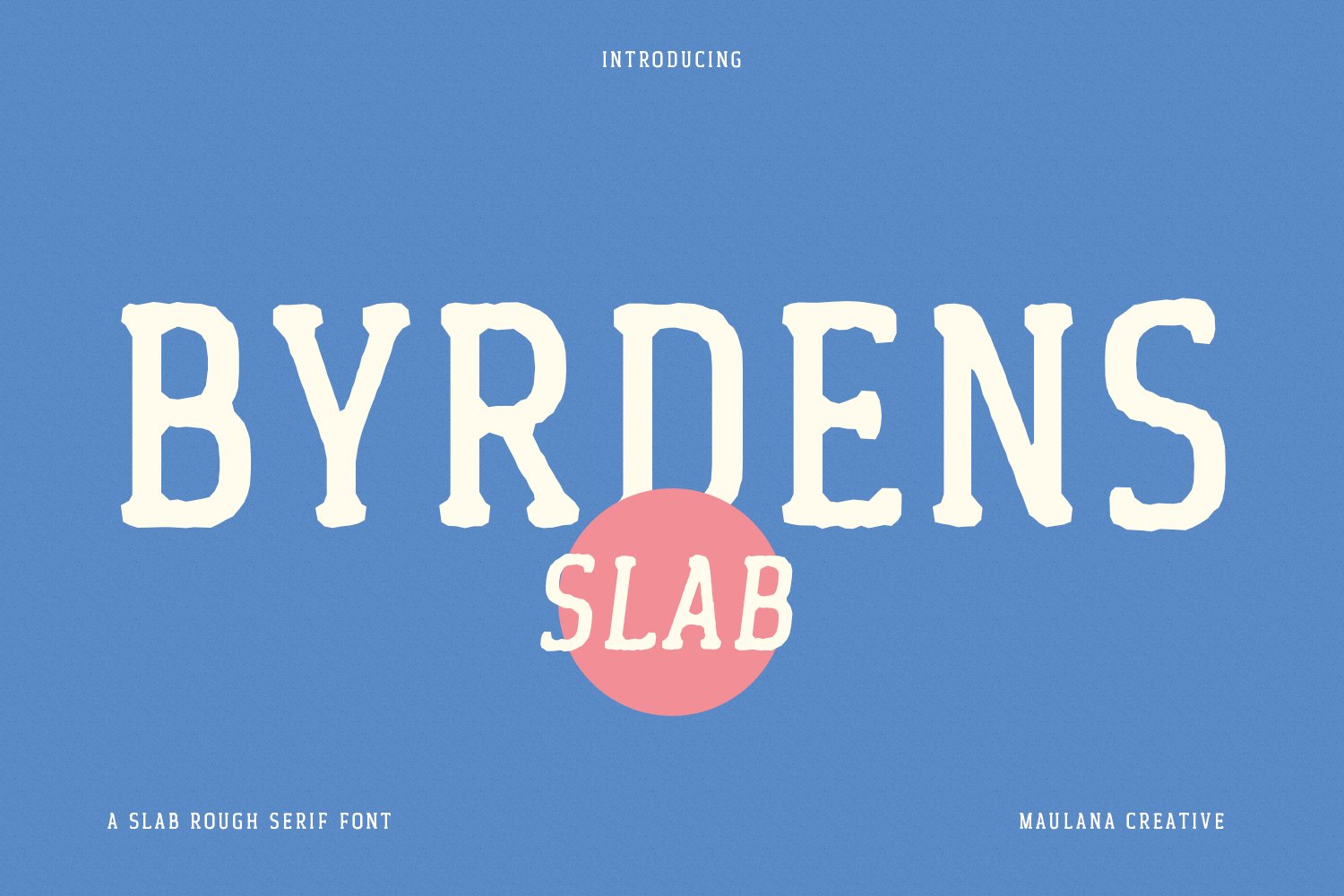 Byrdens Slab Serif Font cover image.