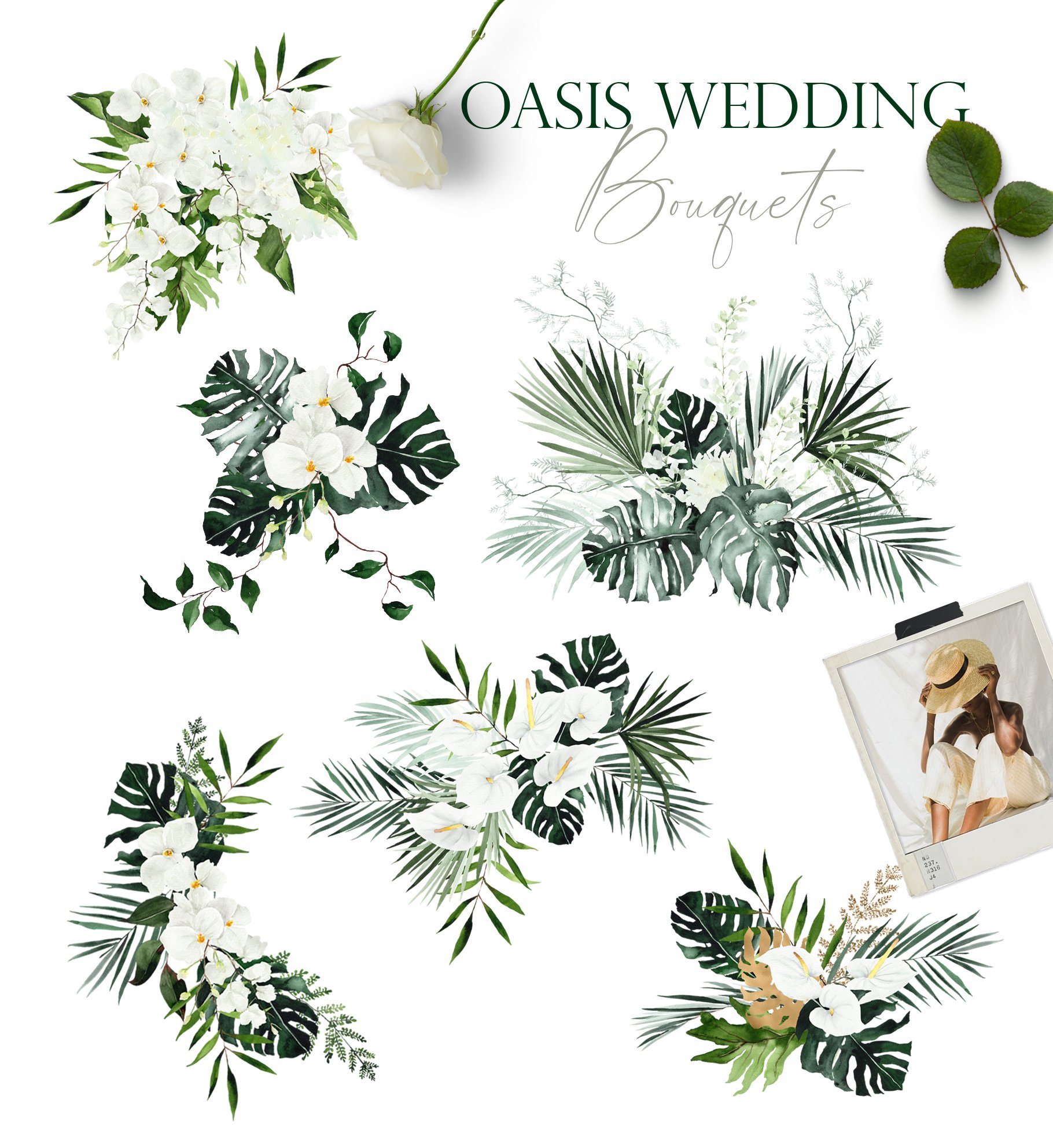 OASIS green - Wedding clipart preview image.