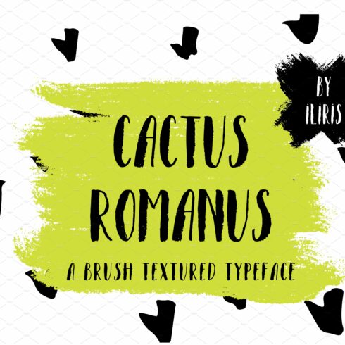 Cactus Romanus Brush Casual Typeface cover image.
