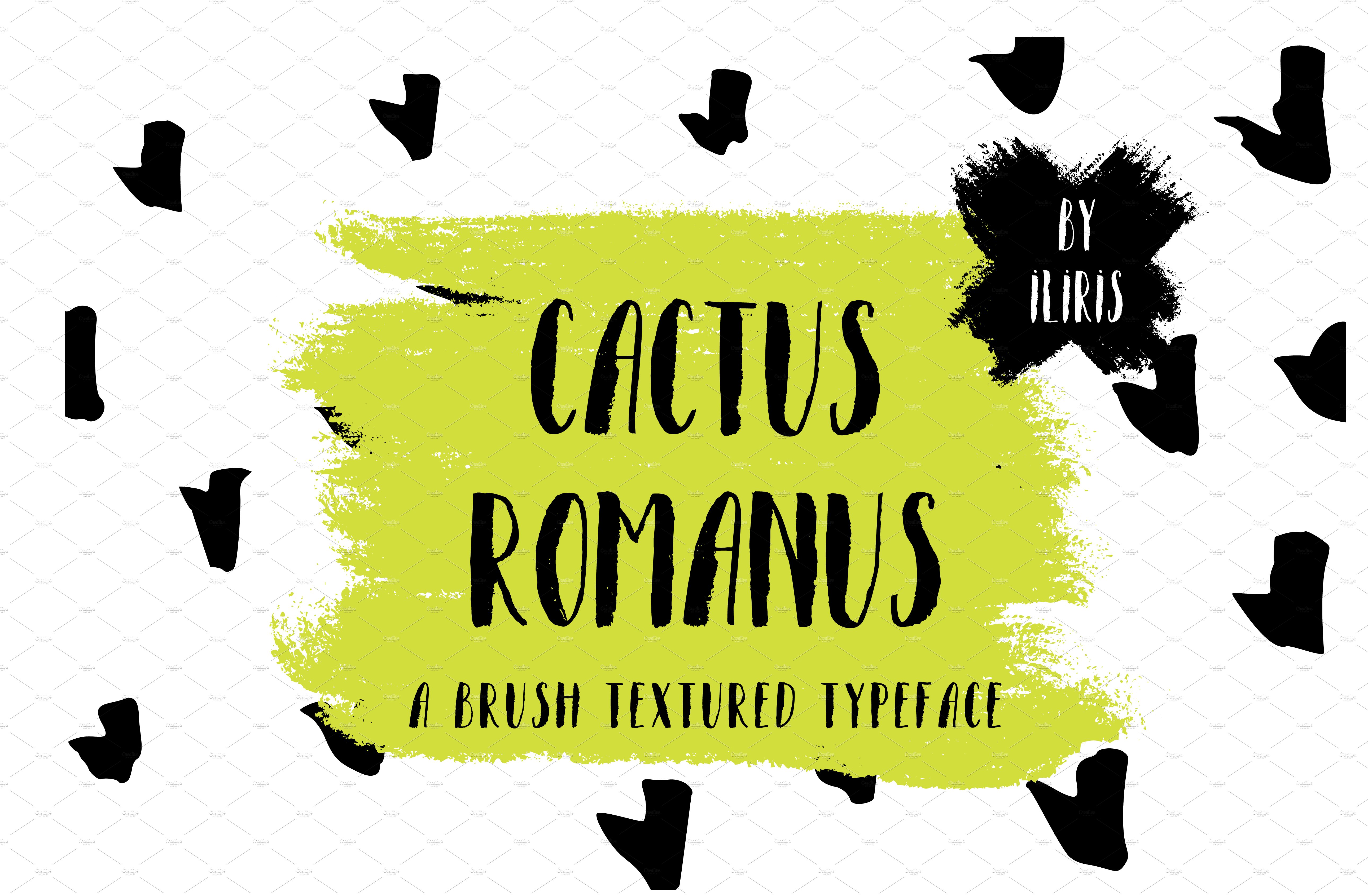 Cactus Romanus Brush Casual Typeface cover image.