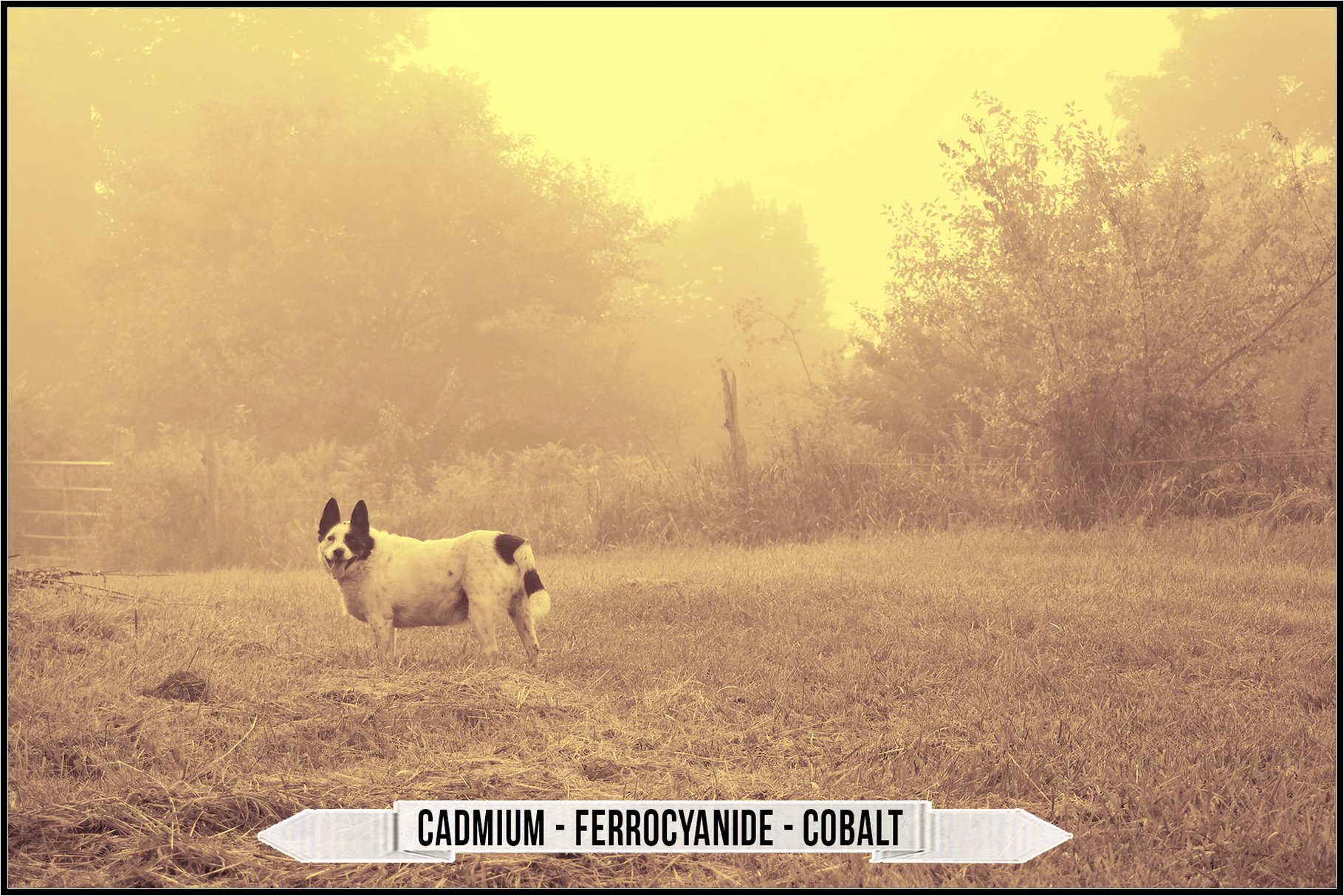 cadmium ferrocyanide cobalt 17