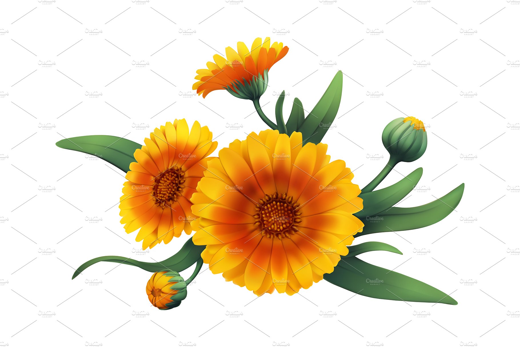 Bouquet of yellow flowers on a white background.