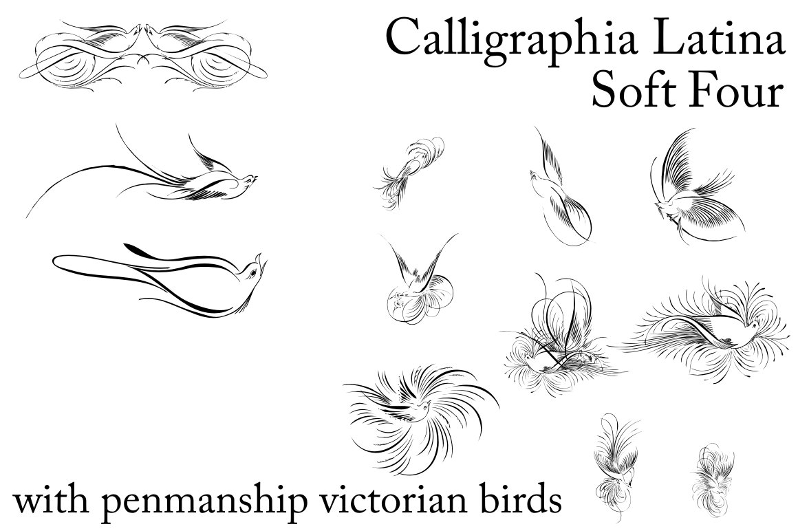 Calligraphia Latina Soft Four preview image.