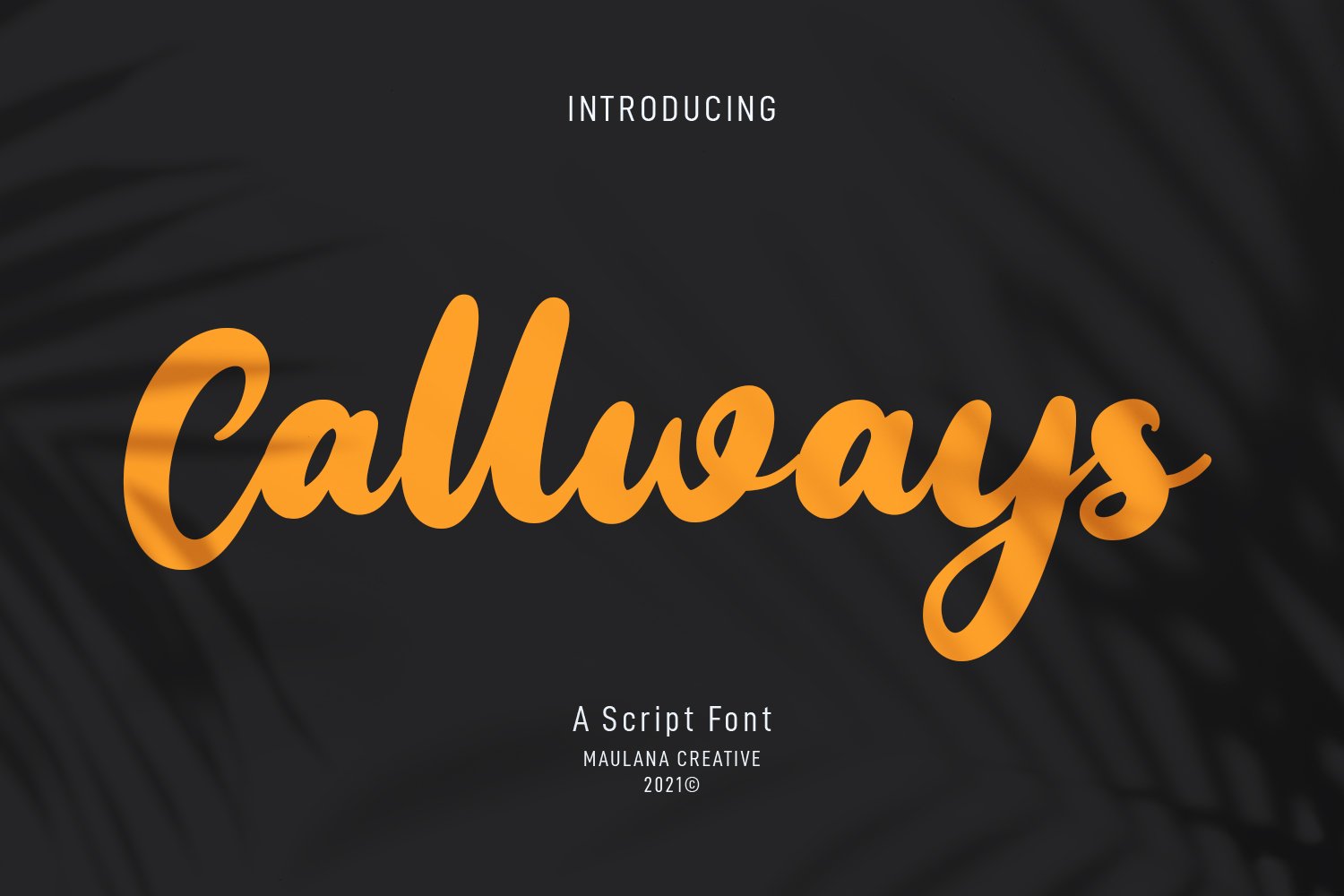 Callways Script Font cover image.